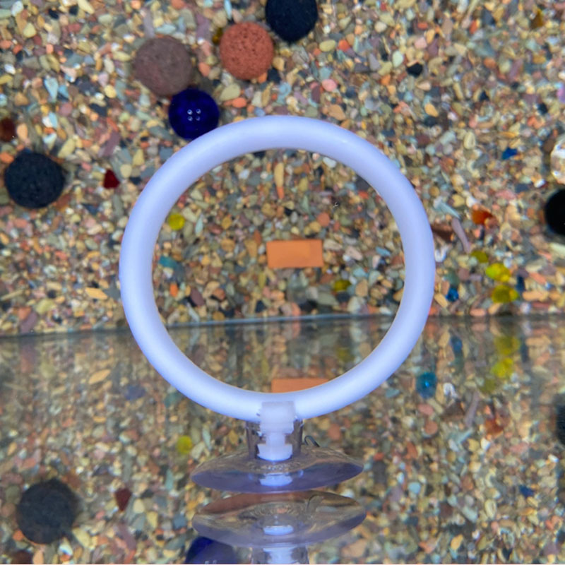 1pcs Plastic Fish Tank Aquariu - Gymnastic Ring review and price