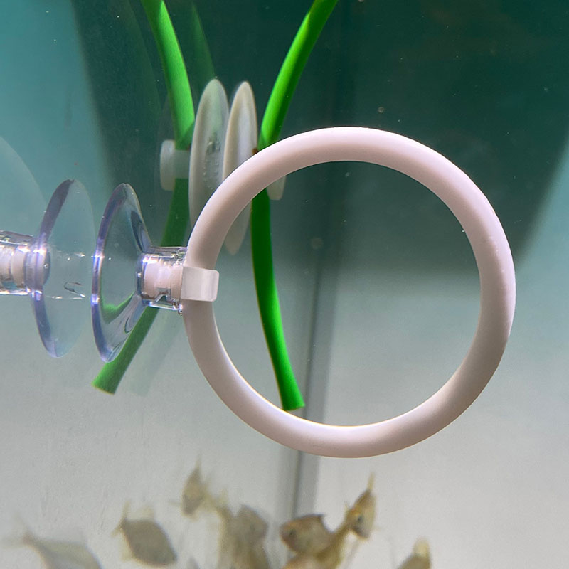 1pcs Plastic Fish Tank Aquariu - Gymnastic Ring review and price